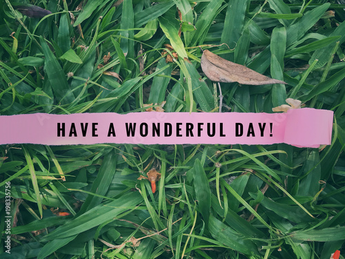 Fotografía Inspirational greetings - ‘Have a wonderful day’ written on ripped pink paper with background of green grass