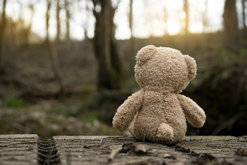 rear view teddy bear sitting on wooden bridge and looking at evening light. lonely teddy sitting alo