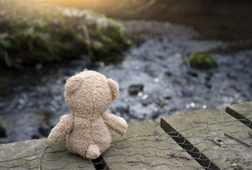 Wall Mural - Rear view Teddy bear sitting on wooden bridge and looking at canal in evening. Lonely teddy sitting alone