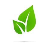 Fototapeta Na ścianę - Eco icon green leaf vector illustration isolated. , Eco logo, design template elements