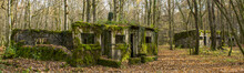 Concrete Buidlings In The Forest At Camp Marguerre, World War I Site Near Verdun