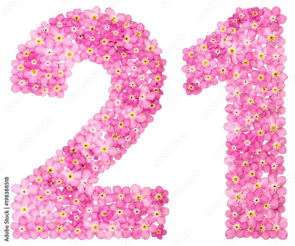 Stock-Foto „Arabic numeral 21, twenty one, from pink forget-me-not flowers,  isolated on white background“ | Adobe Stock, image size:1000x835