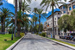 Street of Palma de Mallorca with lots of palms and historical buildings