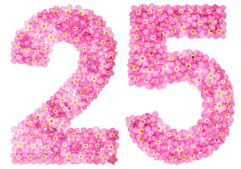 arabic numeral 25, twenty five, from pink forget-me-not flowers, isolated on white background