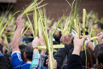 palm sunday crosses - blessing the palms