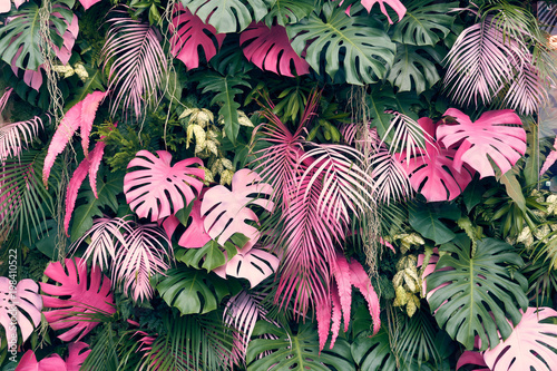 Fototapeta na wymiar Tropical trees arranged in full background Or full wall There are leaves in different sizes, different colors, various sizes, many varieties. Another garden layout.as background with copy space.