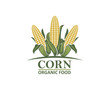 colored farm corn vegetable emblem