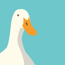 Duck Head Face Vector Illustration Flat Style Front