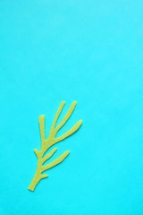 handmade cactus from paper pattern color