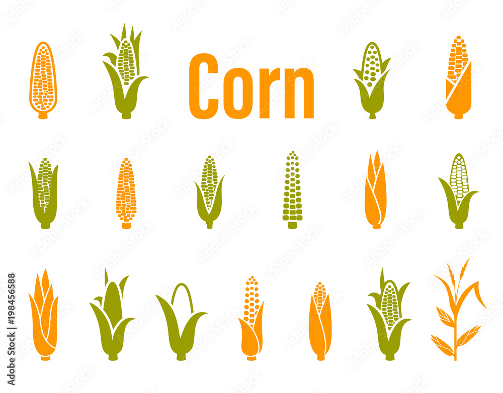 Corn icons. Vector illustration isolated on white background. Stock ...
