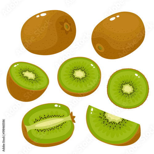 Photographie Bright vector set of colorful fresh kiwi isolated on white