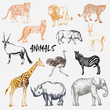 Big set of hand drawn sketch style African animals with tiger isolated on white background. Vector illustration.