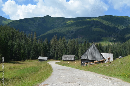 Fototapeta Dolina Chochołowska  tatry-chaty-goralskie-w-dolinie-chocholowskiej