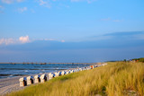 Fototapeta Morze - Strandkörbe an der Ostsee