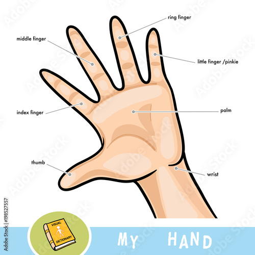 Hand Englisch Hand Englisch