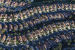 Aerial view of suburban residential area in Thousand Oaks California.  