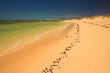 Canvas Print - Endless Australian sunny beaches