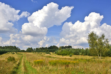 Summer rural landscape on meadow and a blue sky with white clouds background