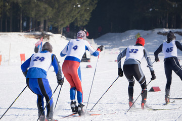 Two cross-country ski runners in front of wintry landscape .