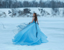 Cinderella In A Luxurious, Lush, Blue Dress With A Magnificent Train. A Girl Walks On A Frozen Lake Covered With Snow. Near Her Flies A Bird The Woman Smiles Sweetly At Her For A Meeting. Art Photo