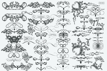Wall Mural - Big collection of vector flourishes for design