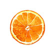 Orange cut watercolor painted isolated on white background.
