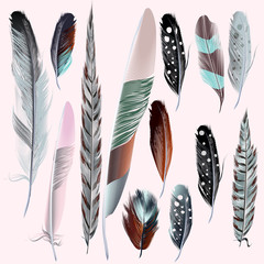 Poster - Set of vector realistic feathers for design