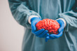 surgeon holding a brain.Anatomy human brain model.