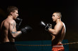 © Anatoliy Karlyuk - People, sports, MMA and martial arts concept. Sideways portrait of two young athletic Caucasian men with naked sweaty muscular torso fighting, standing opposite each other inside boxing ring