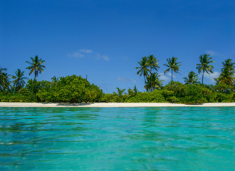 beautiful tropical maldives island with beach, ocean and coconut palm tree on blue sky for nature ho