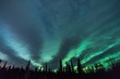 Dramatic clouds, aurora, and starry skies fan out from silhouetted tree line in Alaska