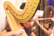 Female Musician Harpist Playing Harp During Symphonic Concert, With Other Musicians In The Background, Close Up Hands Of The Woman Playing Arf.