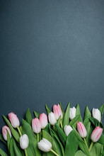 Still Life Spring Gentle White And Pink Tulips