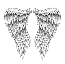 Hand Drawn Wings