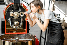 Woman Checking The Quality Of The Coffee Beans Standing With Scoop Near The Roaster Machine At The Roastery