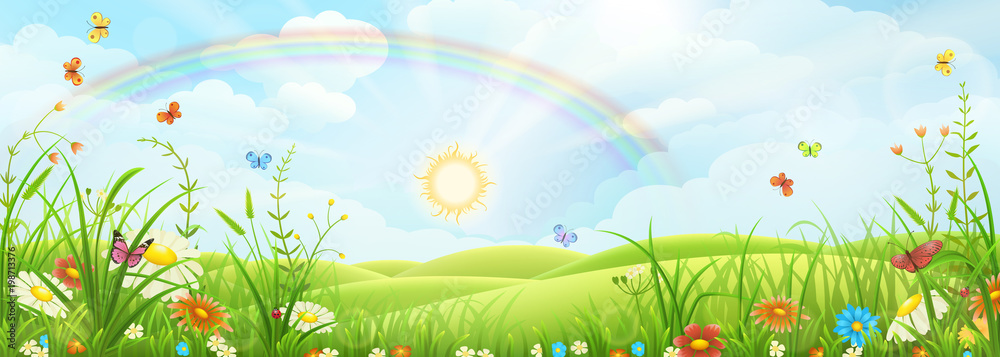 Summer meadow landscape with green grass, flowers and rainbow - obrazy, fototapety, plakaty 