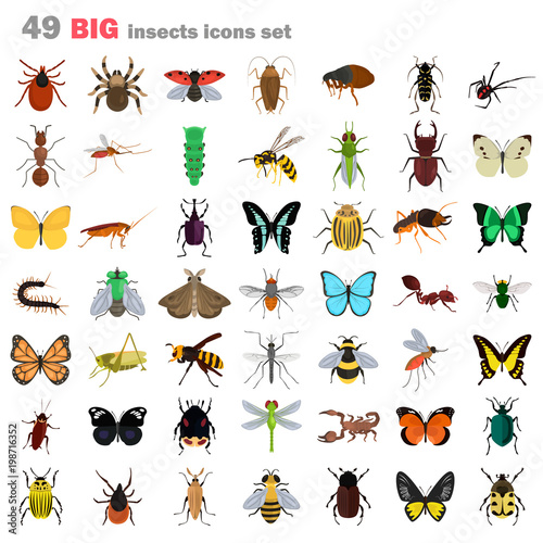 Big insects color flat icons set Tableau sur Toile