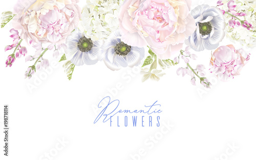 Peony anemone border