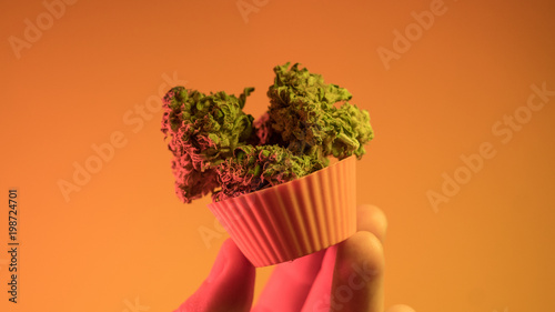 Fotomural .baking cupcakes and cookies from medical marijuana close-up