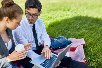 Sticker - Confident broker and his colleague discussing online data in laptop while having meeting on green grass