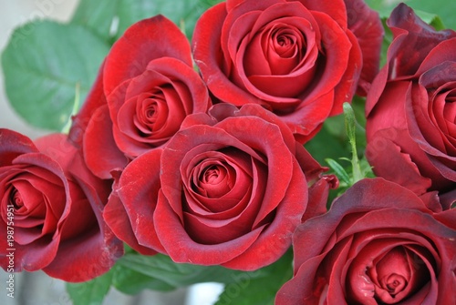 Plakat Bukiet czerwonych róż
