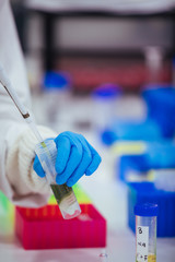 Wall Mural - scientist working with a pipette in a laboratory