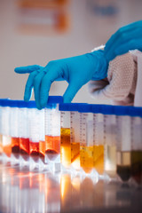 Wall Mural - hand of a scientist taking a food samples in tubes in a laboratory