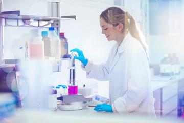 Wall Mural - young woman working in a laboratory