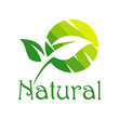 Green Natural Logo Vector design. Vegan logo design template