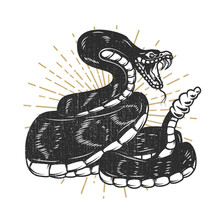 Viper Snake Illustration. Design Element For Emblem, Sign, Poster, T Shirt.