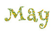 May, month name written in flowers, marigolds and daisies. Text, word.