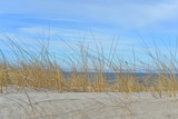 Fototapeta Fototapety z morzem do Twojej sypialni - dry grass in the dunes and a sandy beach