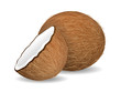 delicious juicy coconut on white background. Realistic style. Vector illustration.
