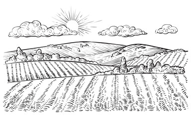 rural landscape, vector vintage hand drawn illustration.
